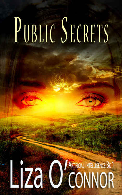 Titelbild zum Buch: Public Secrets